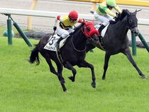 ����å��ǳ��������ɽ�����ޤ�