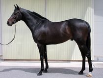 ����å��ǳ��������ɽ�����ޤ�