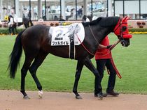 ����å��ǳ��������ɽ�����ޤ�