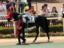 ����å��ǳ��������ɽ�����ޤ�