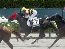 ����å��ǳ��������ɽ�����ޤ�