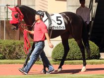 ����å��ǳ��������ɽ�����ޤ�