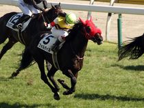 ����å��ǳ��������ɽ�����ޤ�