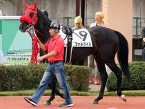 ����å��ǳ��������ɽ�����ޤ�