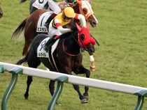 ����å��ǳ��������ɽ�����ޤ�