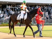 ����å��ǳ��������ɽ�����ޤ�