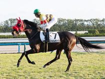 ����å��ǳ��������ɽ�����ޤ�