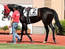 ����å��ǳ��������ɽ�����ޤ�