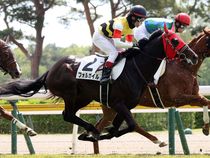 ����å��ǳ��������ɽ�����ޤ�