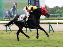 ����å��ǳ��������ɽ�����ޤ�