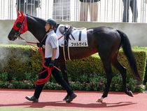 ����å��ǳ��������ɽ�����ޤ�