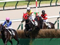 ����å��ǳ��������ɽ�����ޤ�