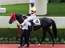 ����å��ǳ��������ɽ�����ޤ�