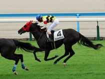 ����å��ǳ��������ɽ�����ޤ�