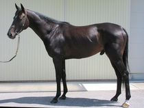 ����å��ǳ��������ɽ�����ޤ�