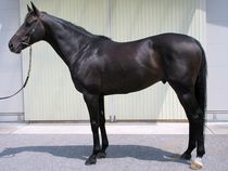 ����å��ǳ��������ɽ�����ޤ�