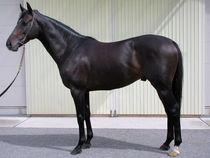 ����å��ǳ��������ɽ�����ޤ�