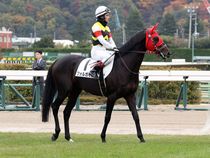 ����å��ǳ��������ɽ�����ޤ�