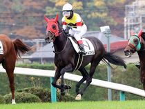 ����å��ǳ��������ɽ�����ޤ�