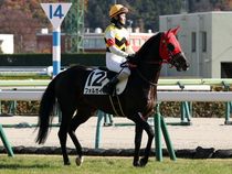 ����å��ǳ��������ɽ�����ޤ�