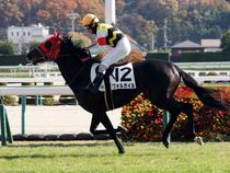 ����å��ǳ��������ɽ�����ޤ�