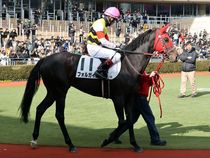 ����å��ǳ��������ɽ�����ޤ�