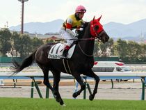 ����å��ǳ��������ɽ�����ޤ�