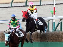 ����å��ǳ��������ɽ�����ޤ�