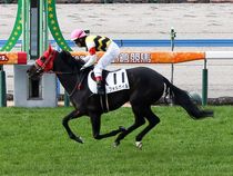 ����å��ǳ��������ɽ�����ޤ�