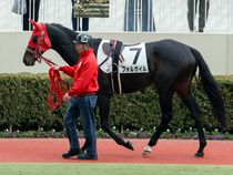 ����å��ǳ��������ɽ�����ޤ�