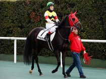 ����å��ǳ��������ɽ�����ޤ�