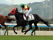 ����å��ǳ��������ɽ�����ޤ�