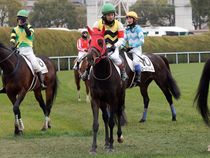 ����å��ǳ��������ɽ�����ޤ�