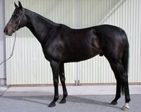 ����å��ǳ��������ɽ�����ޤ�