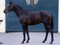 ����å��ǳ��������ɽ�����ޤ�