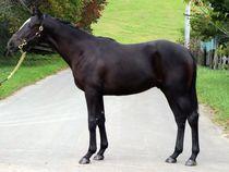 ����å��ǳ��������ɽ�����ޤ�