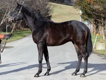 ����å��ǳ��������ɽ�����ޤ�