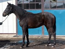 ����å��ǳ��������ɽ�����ޤ�