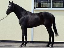 ����å��ǳ��������ɽ�����ޤ�