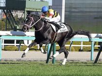 ����å��ǳ��������ɽ�����ޤ�