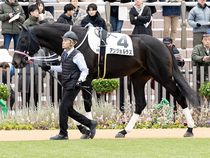 ����å��ǳ��������ɽ�����ޤ�