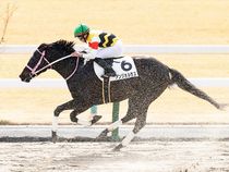 ����å��ǳ��������ɽ�����ޤ�