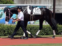 ����å��ǳ��������ɽ�����ޤ�