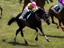 ����å��ǳ��������ɽ�����ޤ�