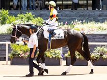 ����å��ǳ��������ɽ�����ޤ�