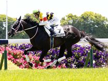 ����å��ǳ��������ɽ�����ޤ�