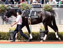 ����å��ǳ��������ɽ�����ޤ�