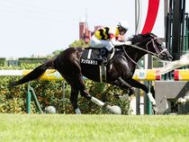 ����å��ǳ��������ɽ�����ޤ�