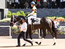 ����å��ǳ��������ɽ�����ޤ�