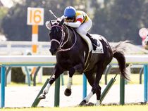 ����å��ǳ��������ɽ�����ޤ�